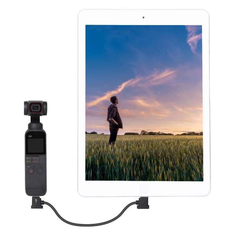Кабель передачи данных Type-C – Lightning для DJI Mini 3 Pro и Air 3, DJI Avata, Goggles 2 (15 cм)